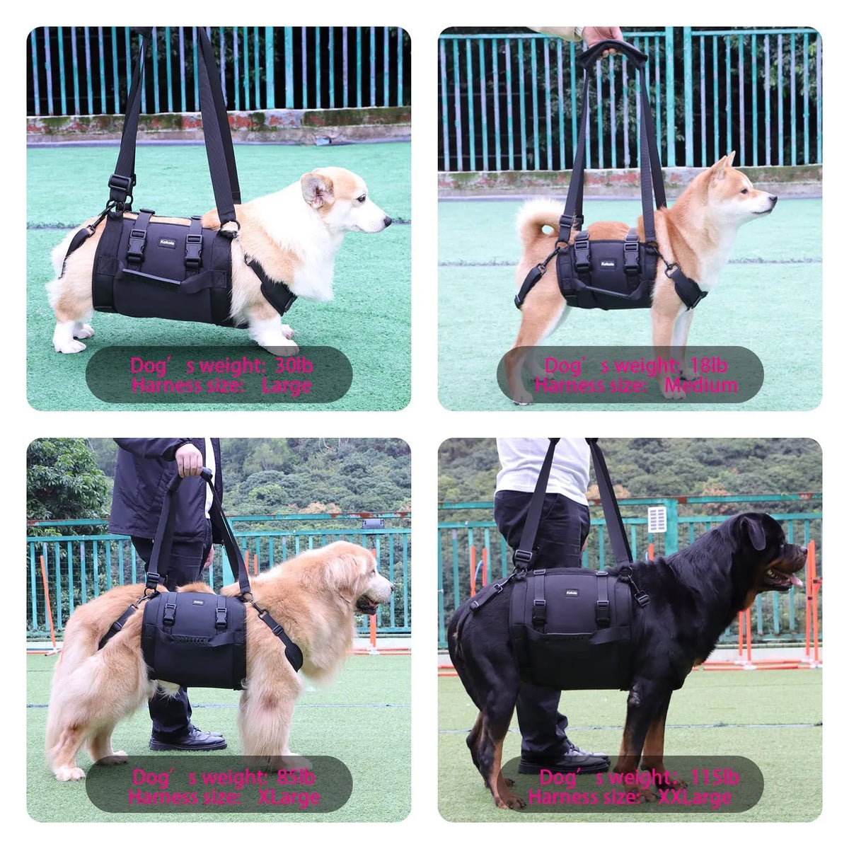 Black adjustable dog harness made from Oxford cloth with a metal D-ring and padded chest strap.