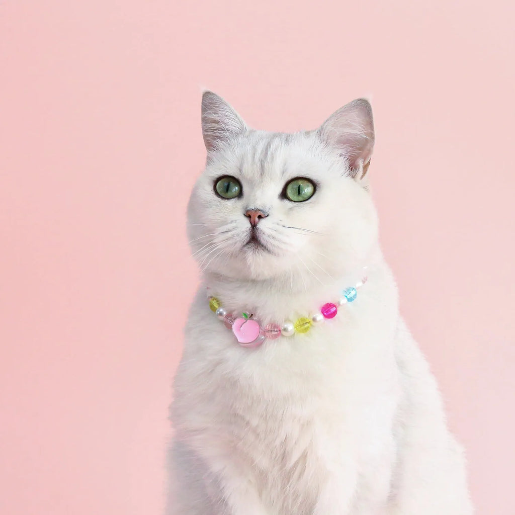 Colourful plastic pearl pet necklace for cats with adjustable sizing in rainbow, peach, and small flower patterns